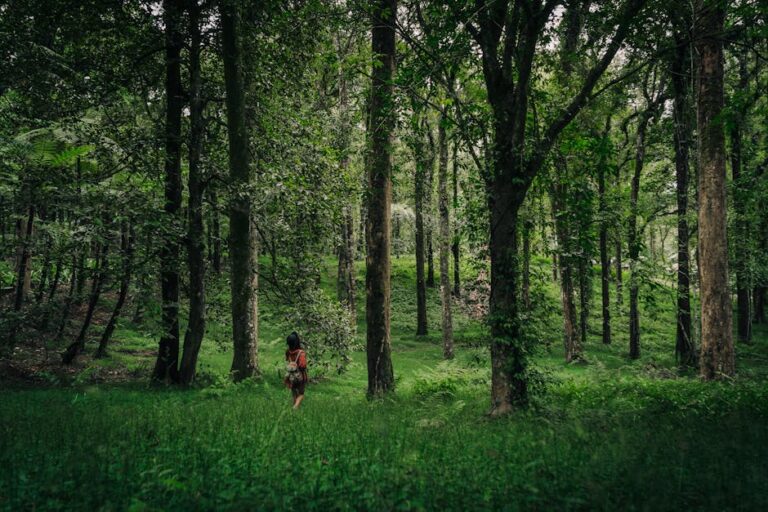 Finding peace after divorce